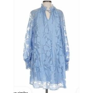 Paris Atelier & Other Stories Blue Voluminous Dress